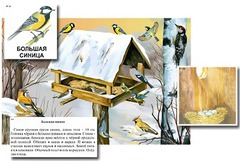 Магнитный плакат-аппликация "Биоразнообразие и экологические группы. Птицы зимой" - fgospostavki.ru - Артёмовский