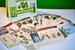 Гербарий к курсу основ общей биологии - fgospostavki.ru - Артёмовский