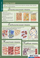 Комплект таблиц. Биология 8-9 класс. Человек. - fgospostavki.ru - Артёмовский