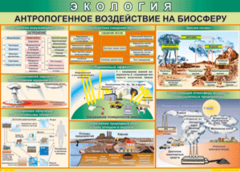 Таблица "Антропогенное воздействие на биосферу" (100х140 сантиметров, винил) - fgospostavki.ru - Артёмовский