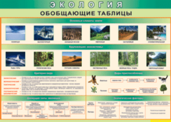 Таблица "Экология. Обобщающие таблицы" (100х140 сантиметров, винил) - fgospostavki.ru - Артёмовский