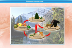 Интерактивные курсы. Биология 7 класс. Базовый. - fgospostavki.ru - Артёмовский