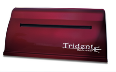 Принтер для печати рельефно-точечным шрифтом Брайля Trident - fgospostavki.ru - Артёмовский