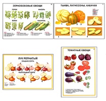 Плакаты ПРОФТЕХ "Ассортимент овощных культур" (12 пл, винил, 70х100) - fgospostavki.ru - Артёмовский