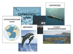 Модель-аппликация "Океаны. Знакомство" (ламинированная) - fgospostavki.ru - Артёмовский