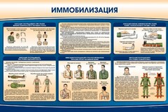 Стенд "Иммобилизация" - fgospostavki.ru - Артёмовский
