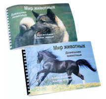 Пособие для слабовидящих - Домашние животные - fgospostavki.ru - Артёмовский