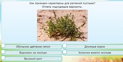 Интерактивные курсы. Окружающий мир 3 класс . Базовый. - fgospostavki.ru - Артёмовский