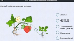 Интерактивные курсы. Биология 7 класс. Расширенный. - fgospostavki.ru - Артёмовский