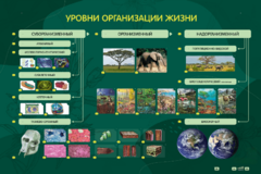 Электрифицированный стенд "Уровни организации жизни" - fgospostavki.ru - Артёмовский