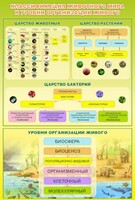 Стенд "Классификация животного мира" - fgospostavki.ru - Артёмовский