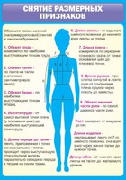 Стенд "Снятие мерок" Вариант 2 - fgospostavki.ru - Артёмовский