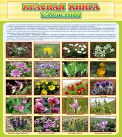 Стенд "Красная книга - растения" - fgospostavki.ru - Артёмовский