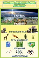 Стенд "Уровни организации живого" - fgospostavki.ru - Артёмовский
