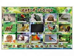 Комплект оборудования "Живой уголок" (животные) - fgospostavki.ru - Артёмовский