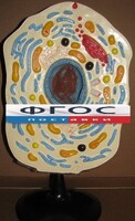 Модель "Клетка животного" - fgospostavki.ru - Артёмовский