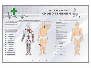 Электрифицированный стенд "Остановка кровотечения" - fgospostavki.ru - Артёмовский
