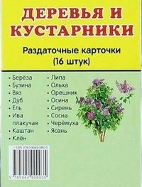 Раздаточные карточки "Деревья и кустарники" - fgospostavki.ru - Артёмовский