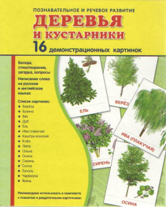 Демонстрационные карточки "Деревья и кустарники" - fgospostavki.ru - Артёмовский