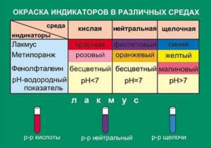 Таблица. Окраска индикаторов в различных средах. - fgospostavki.ru - Артёмовский