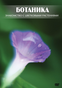 DVD "Ботаника. Знакомство с цветковыми растениями" - fgospostavki.ru - Артёмовский