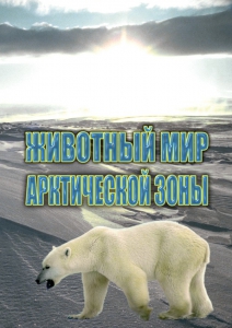DVD "Животный мир Арктической зоны" - fgospostavki.ru - Артёмовский