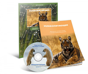 Электронное наглядное пособие «Млекопитающие» - fgospostavki.ru - Артёмовский