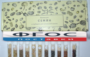Коллекция "Семена к гербарию для начальной школы" (11 видов) - fgospostavki.ru - Артёмовский
