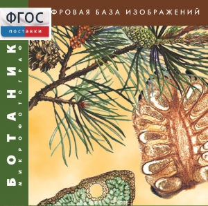 Ботаника. Микрофотографии. (Цифровая база изображений) - fgospostavki.ru - Артёмовский