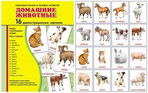 Демонстрационные карточки "Домашние животные" - fgospostavki.ru - Артёмовский