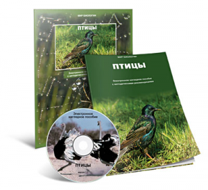 Электронное наглядное пособие «Птицы» - fgospostavki.ru - Артёмовский