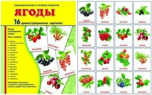 Демонстрационные карточки "Ягоды" - fgospostavki.ru - Артёмовский