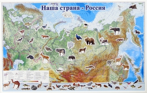 Магнитные карточки "Животные" - fgospostavki.ru - Артёмовский