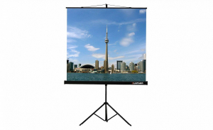 Проекционный экран на штативе Lumien Eco View (LEV-100105) 160x160 см - fgospostavki.ru - Артёмовский