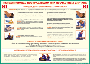 Таблица "Порядок действий при внезапной смерти" (100х140 сантиметров, винил) - fgospostavki.ru - Артёмовский