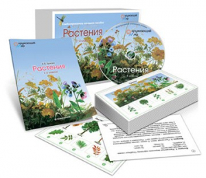 Комбинированное наглядное пособие «Растения» - fgospostavki.ru - Артёмовский
