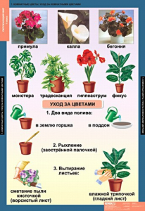 Комплект таблиц. Окружающий мир 1 класс. - fgospostavki.ru - Артёмовский