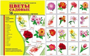 Демонстрационные карточки "Цветы садовые" - fgospostavki.ru - Артёмовский