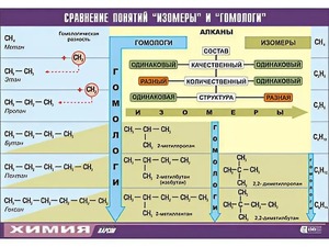 Таблица демонстрационная "Сравнение понятий изомер и гомолог" (винил 70x100) - fgospostavki.ru - Артёмовский
