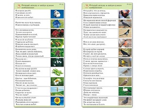 Комплект карточек (10) "Обучающий калейдоскоп. Природа" - fgospostavki.ru - Артёмовский