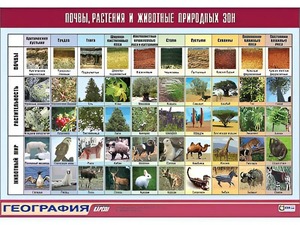 Таблица демонстрационная "Почвы, растения и животные природных зон" (винил 70*100) - fgospostavki.ru - Артёмовский