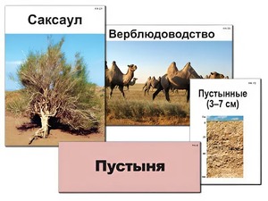 Модель-аппликация "Природные зоны России" (ламинированная) - fgospostavki.ru - Артёмовский