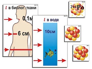 Модель-аппликация "Явление радиоактивности" (ламинированная) - fgospostavki.ru - Артёмовский