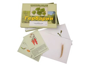 Гербарий "Культурные растения" (30 видов, с иллюстрациями) - fgospostavki.ru - Артёмовский