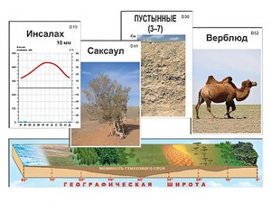 Модель-аппликация "Природные зоны" - fgospostavki.ru - Артёмовский