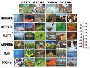 Фенологические наблюдения - fgospostavki.ru - Артёмовский