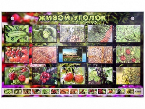 Комплект оборудования "Живой уголок" (растения) с тифлопереводом и сурдокомментариями - fgospostavki.ru - Артёмовский