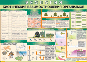 Таблица "Биотические взаимоотношения организмов" (100х140 сантиметров, винил) - fgospostavki.ru - Артёмовский
