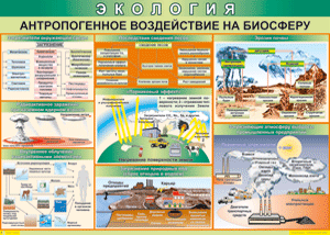 Таблица "Антропогенное воздействие на биосферу" (100х140 сантиметров, винил) - fgospostavki.ru - Артёмовский
