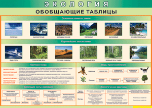 Таблица "Экология. Обобщающие таблицы" (100х140 сантиметров, винил) - fgospostavki.ru - Артёмовский